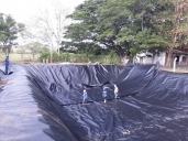 gallery/21c36f2c-6c01-4270-8d8f-b3fe33d95cf2